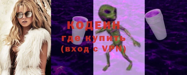 индика Вязьма